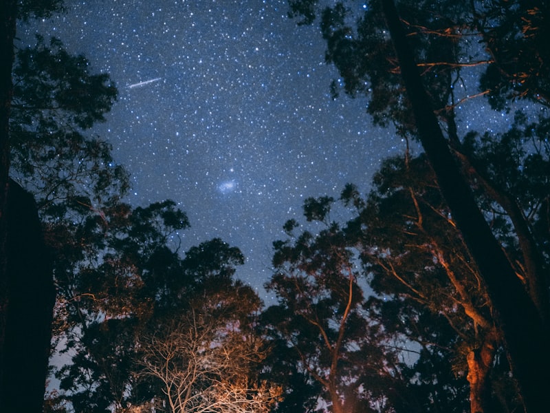 家庭用户在森林星空下使用本品牌露营装备享受舒适夜晚的场景